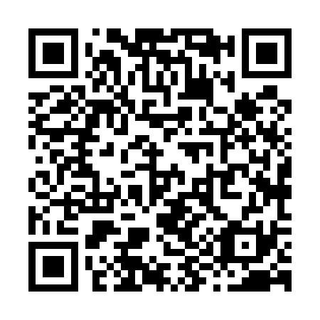 QR code for X98531