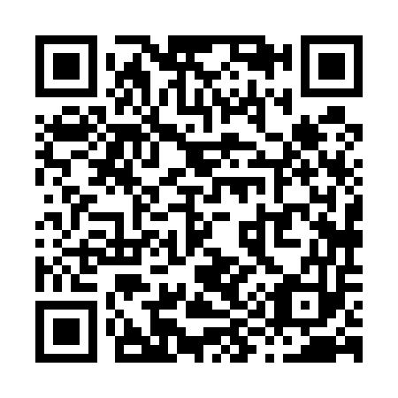 QR code for X98553