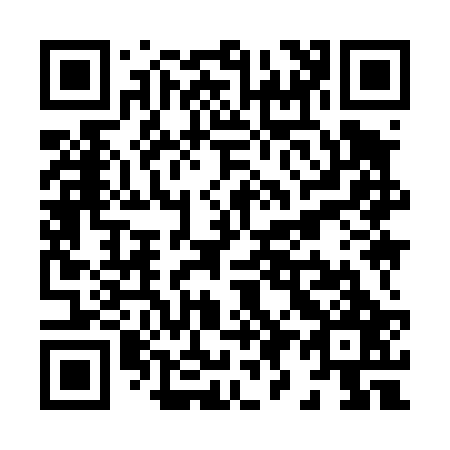 QR code for X99427