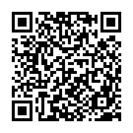 QR code for X99566
