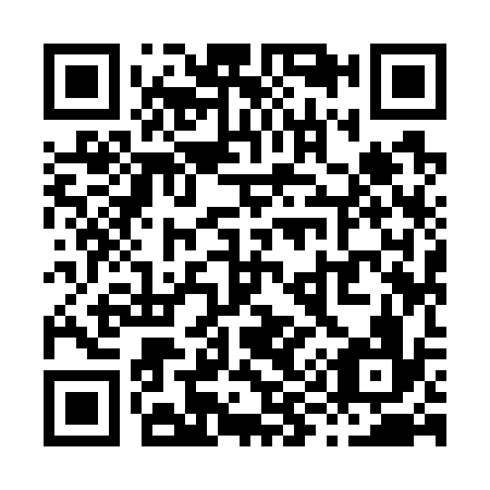 QR code for X99736