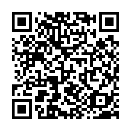 QR code for X99739