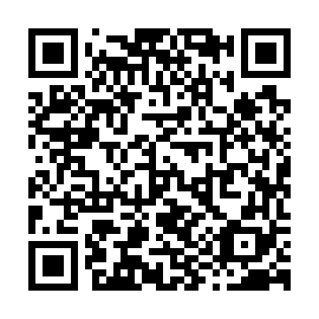 QR code for X99768