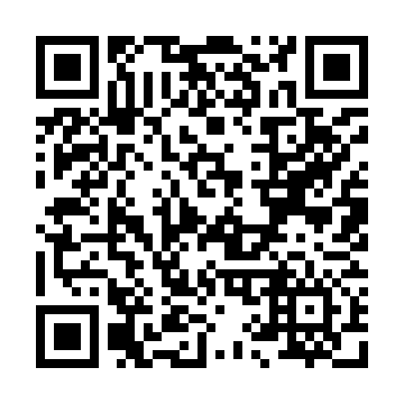 QR code for X99976