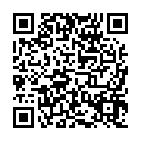 QR code for XAP0163