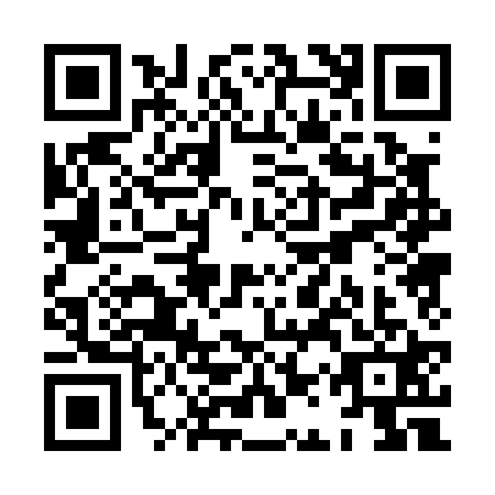 QR code for XAP0219