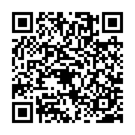 QR code for plate XDL-2875