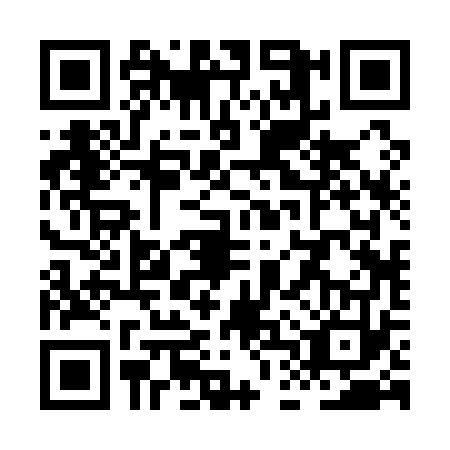 QR code for plate XDR-1733