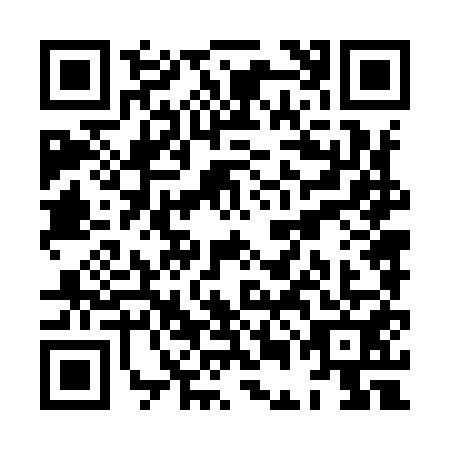 QR code for plate XEN-9517