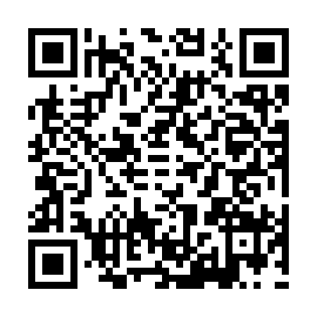 QR code for XHZ-3994