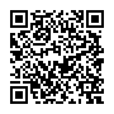 QR code for XJX4033
