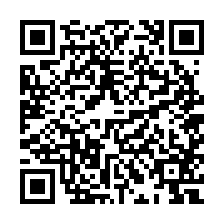 QR code for plate XLG-2869