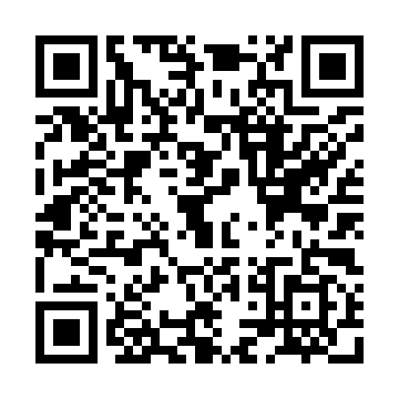 QR code for XLN-9993