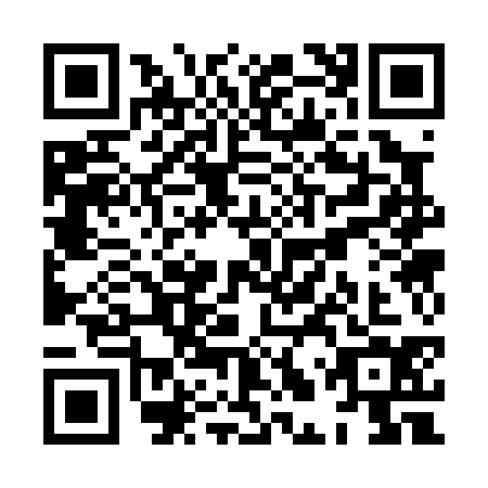 QR code for XLS-0343