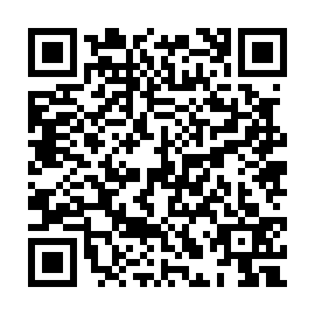 QR code for XLZ0339
