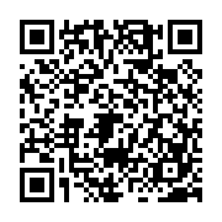 QR code for plate XMI-0667
