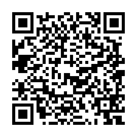 QR code for XPP4994