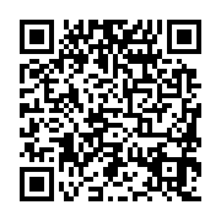 QR code for XQU3919