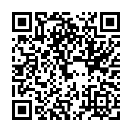 QR code for XXB-2991