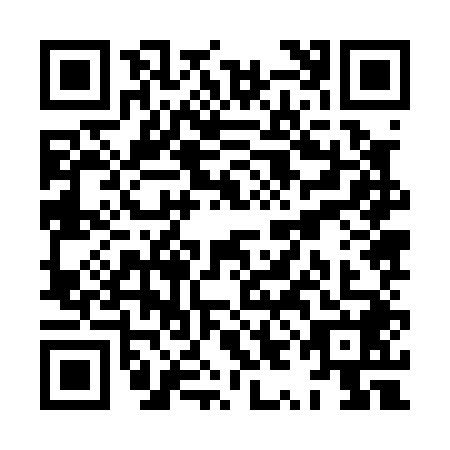 QR code for XYJ0489