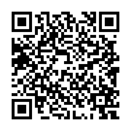 QR code for XYL0079