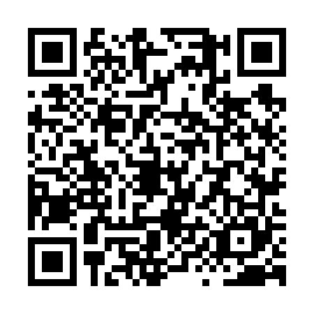 QR code for plate XYN-6653
