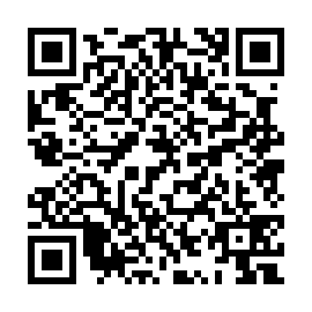 QR code for XYP0390
