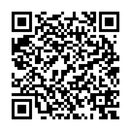 QR code for XYS2287