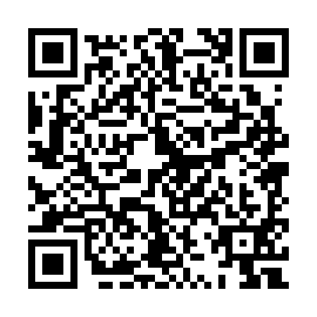 QR code for plate XZP-3913