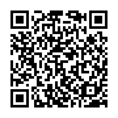 QR code for Y01311