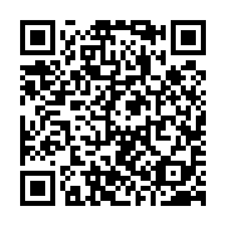QR code for Y06599