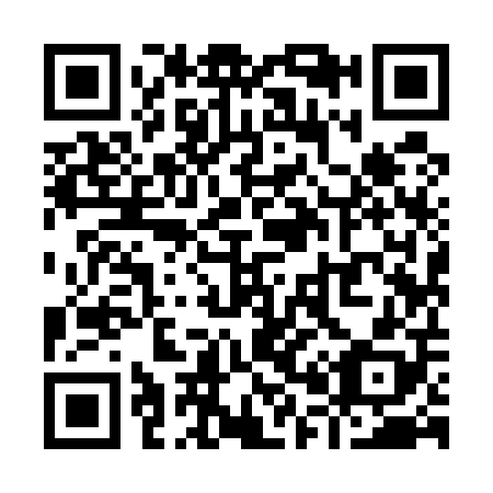 QR code for Y09508