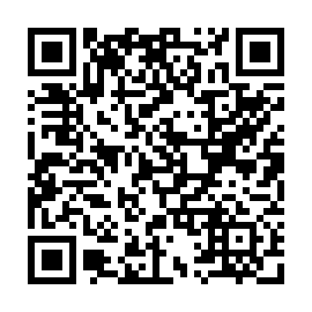 QR code for Y10271