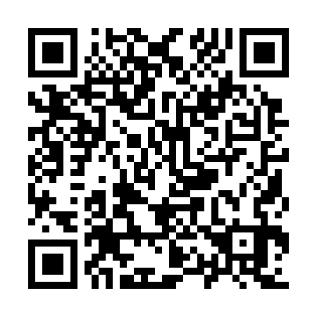 QR code for Y11333