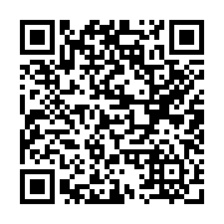 QR code for Y11384