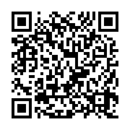 QR code for Y12838