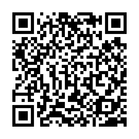 QR code for Y13638