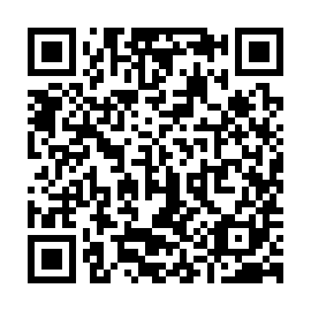 QR code for Y19381
