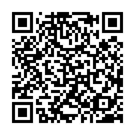 QR code for Y20538