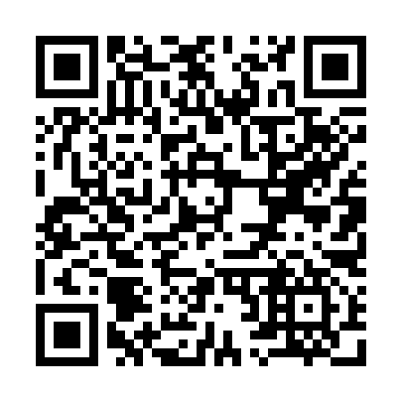 QR code for Y24397