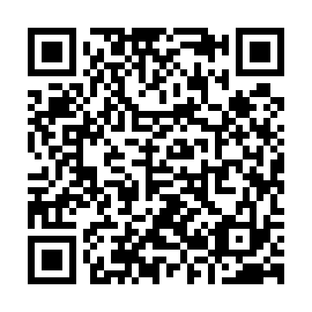 QR code for Y29533