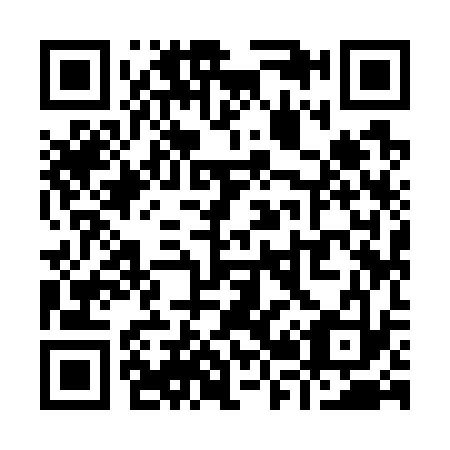 QR code for Y29733
