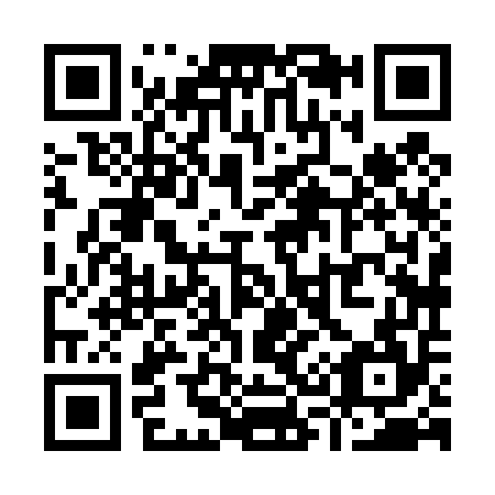 QR code for Y38454