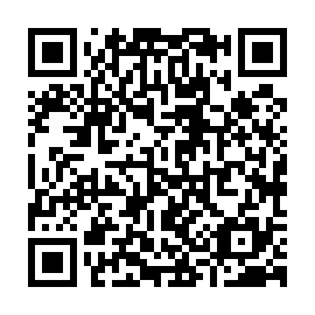 QR code for Y38535