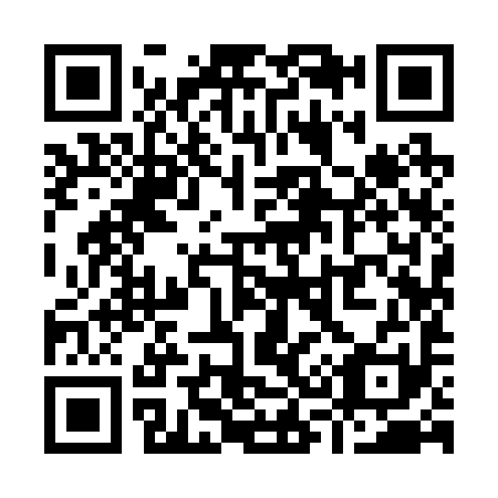 QR code for Y39291