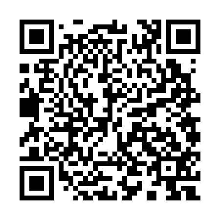QR code for Y46313