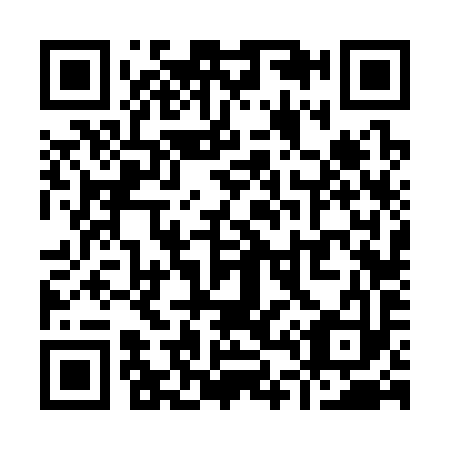 QR code for Y46393