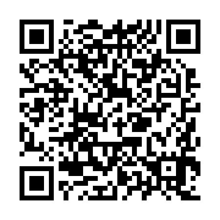 QR code for Y50295