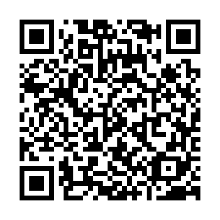 QR code for Y63368