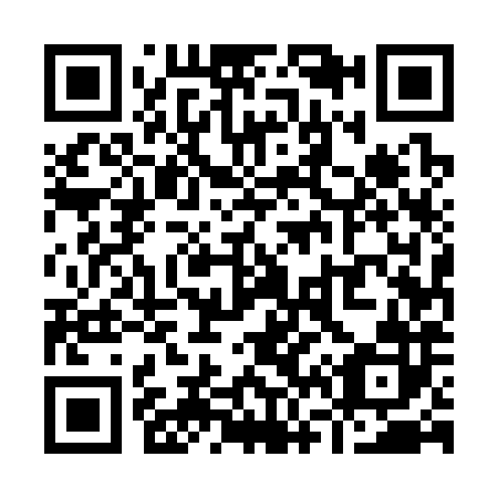QR code for Y65382